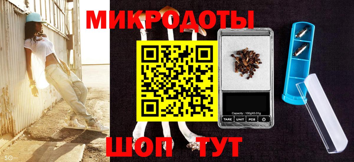 Псилоцибиновые грибы Psilocybine cubensis Москва