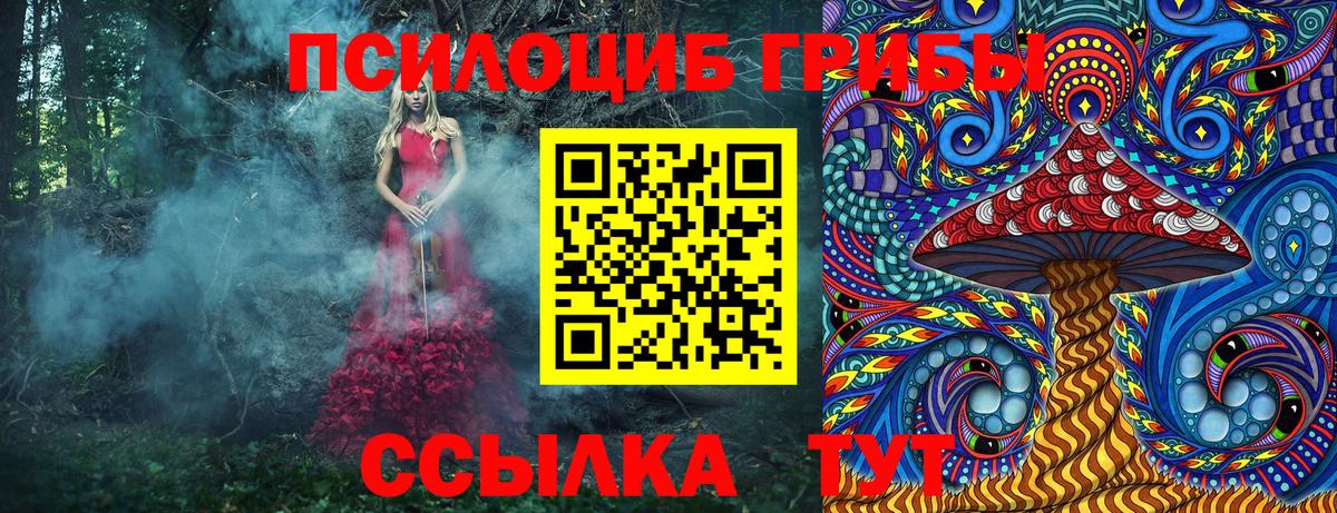 Галлюциногенные грибы прущие грибы  Вход с VPN  Москва 